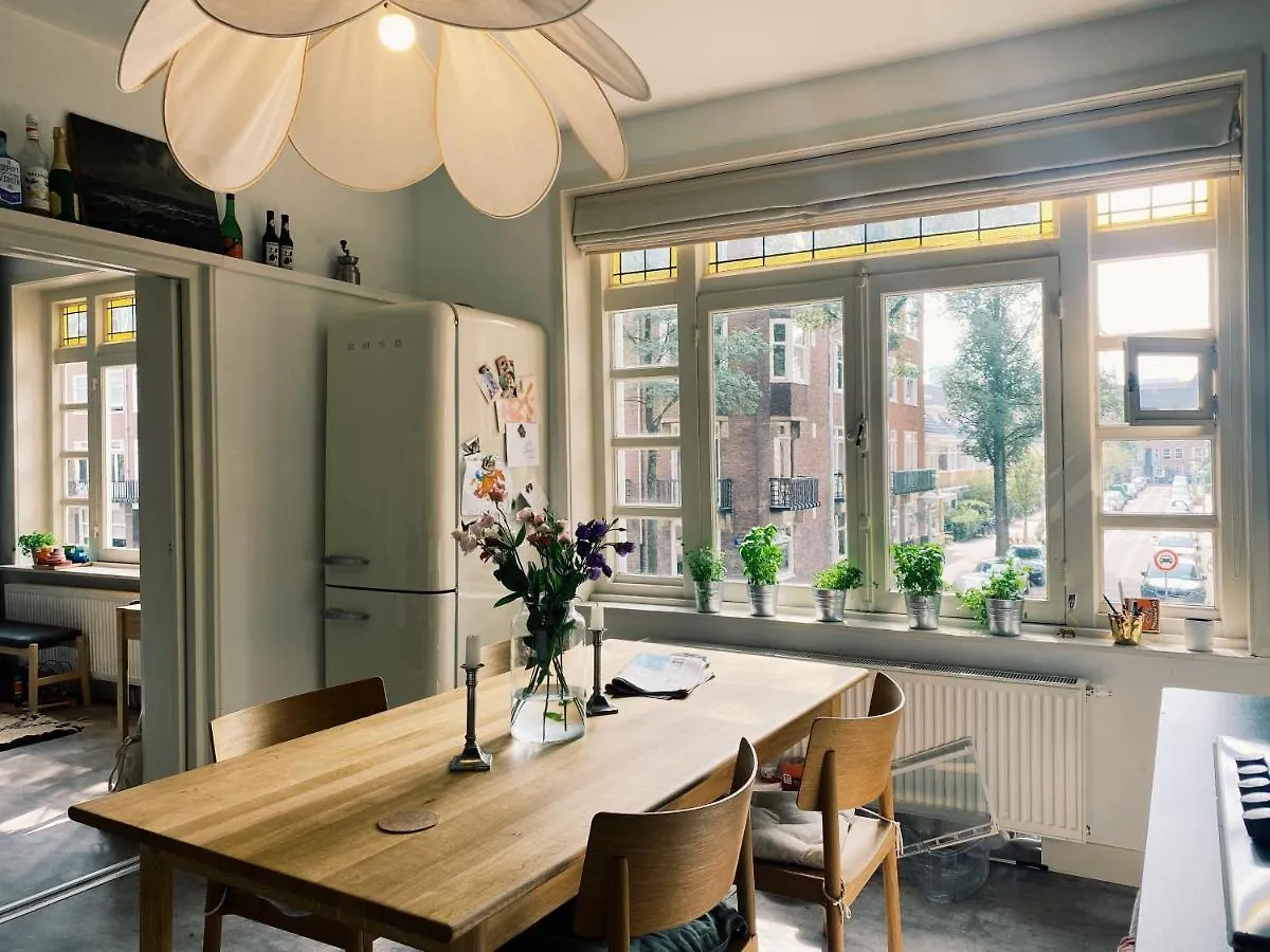 Lovely & Spacious Apartment In 'Old-South' Area Amsterdam