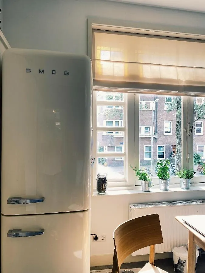 Lovely & Spacious Apartment In 'Old-South' Area Amsterdam 0*,  Netherlands