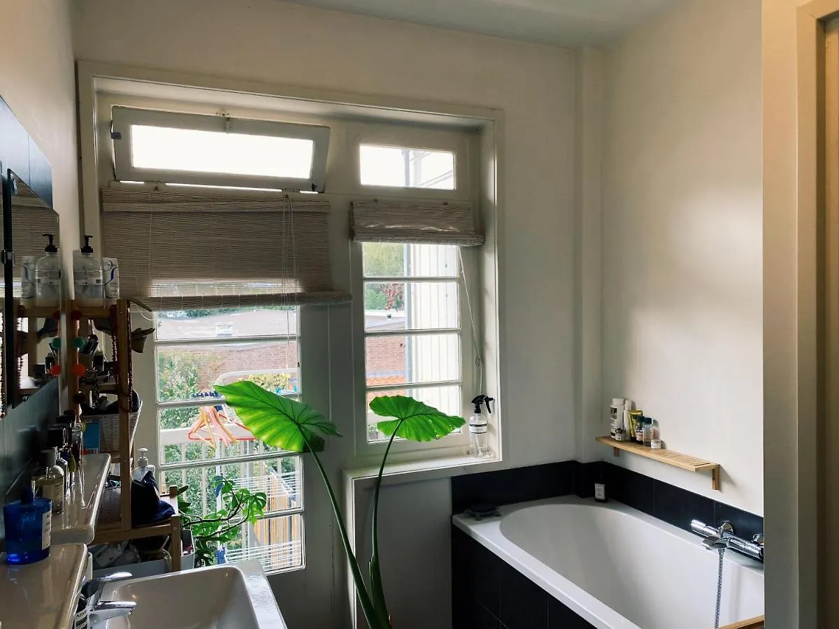 Lovely & Spacious Apartment In 'Old-South' Area Amsterdam
