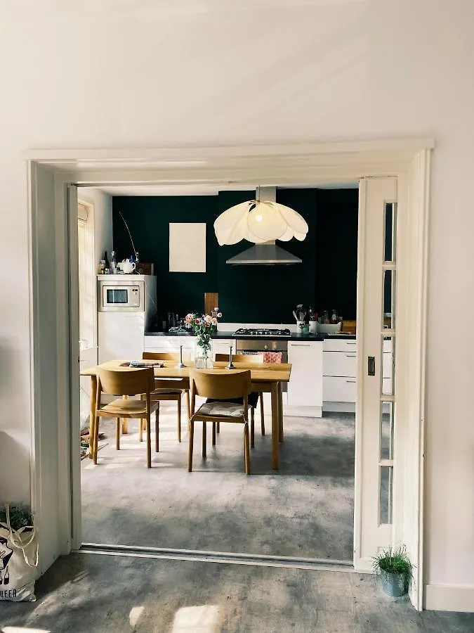Lovely & Spacious Apartment In 'Old-South' Area Amsterdam