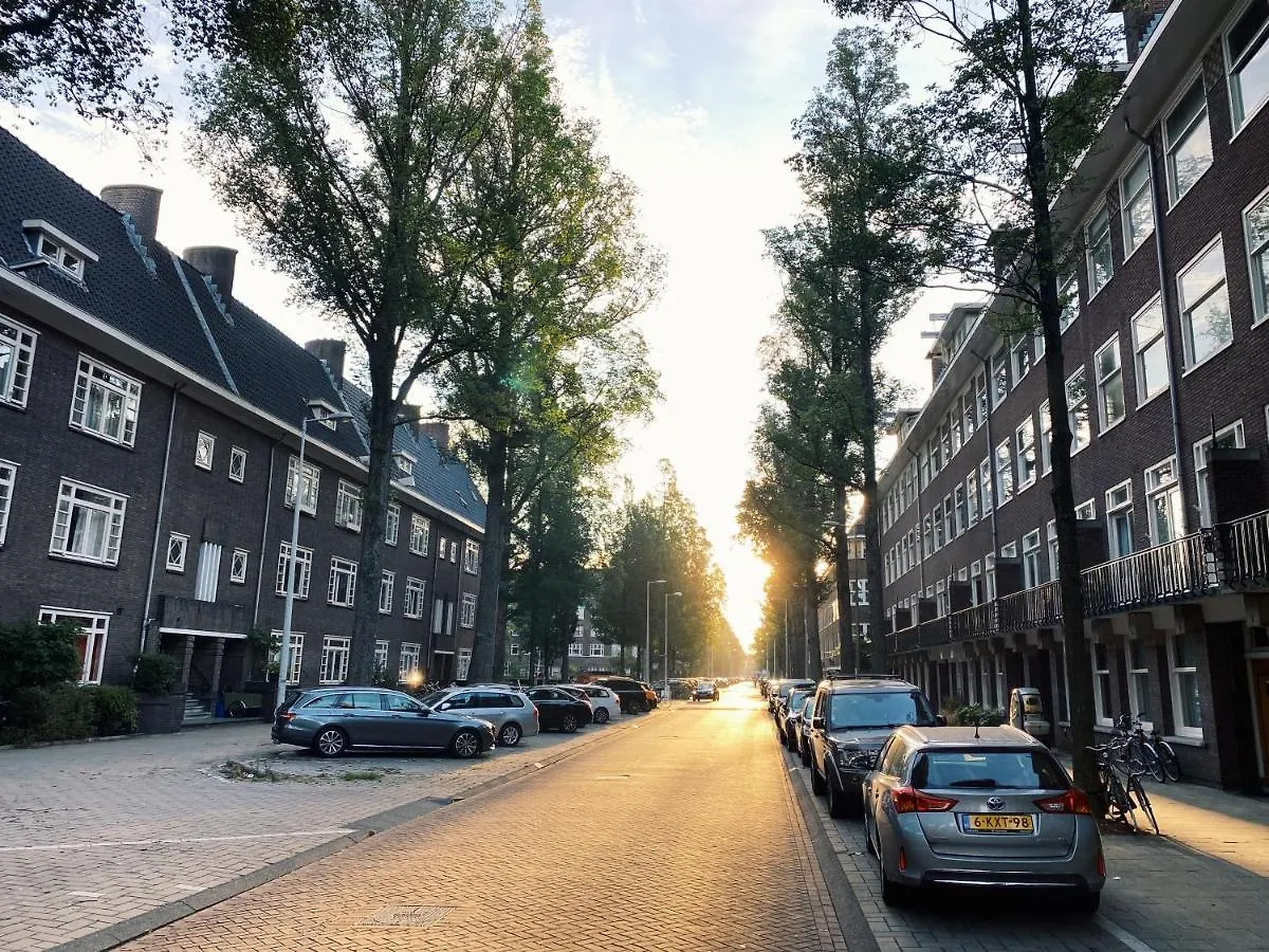 Lovely & Spacious Apartment In 'Old-South' Area Amsterdam 0*,